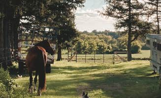 Victoria G.'s photo of camping with a horse at Western MoVa Oasis near Kenosha, WI