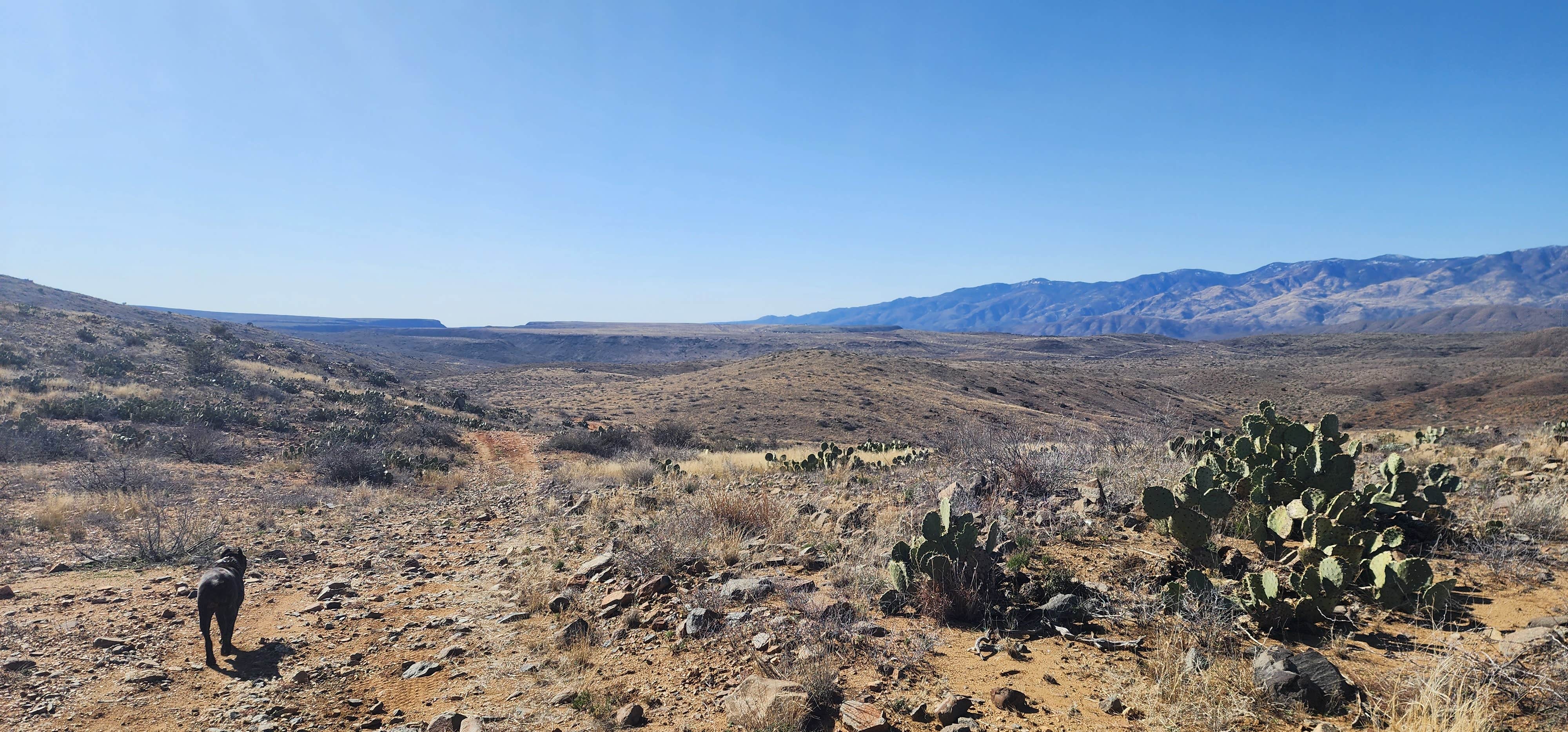Wayne H.'s photo of camping with pets at Bloody Basin Rd / Agua Fria NM Dispersed Camping near Crown King, AZ