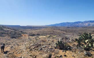 Wayne H.'s photo of camping with pets at Bloody Basin Rd / Agua Fria NM Dispersed Camping near Crown King, AZ
