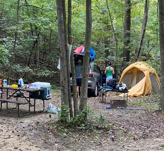 Camper-submitted photo from New Glarus State Park Campground