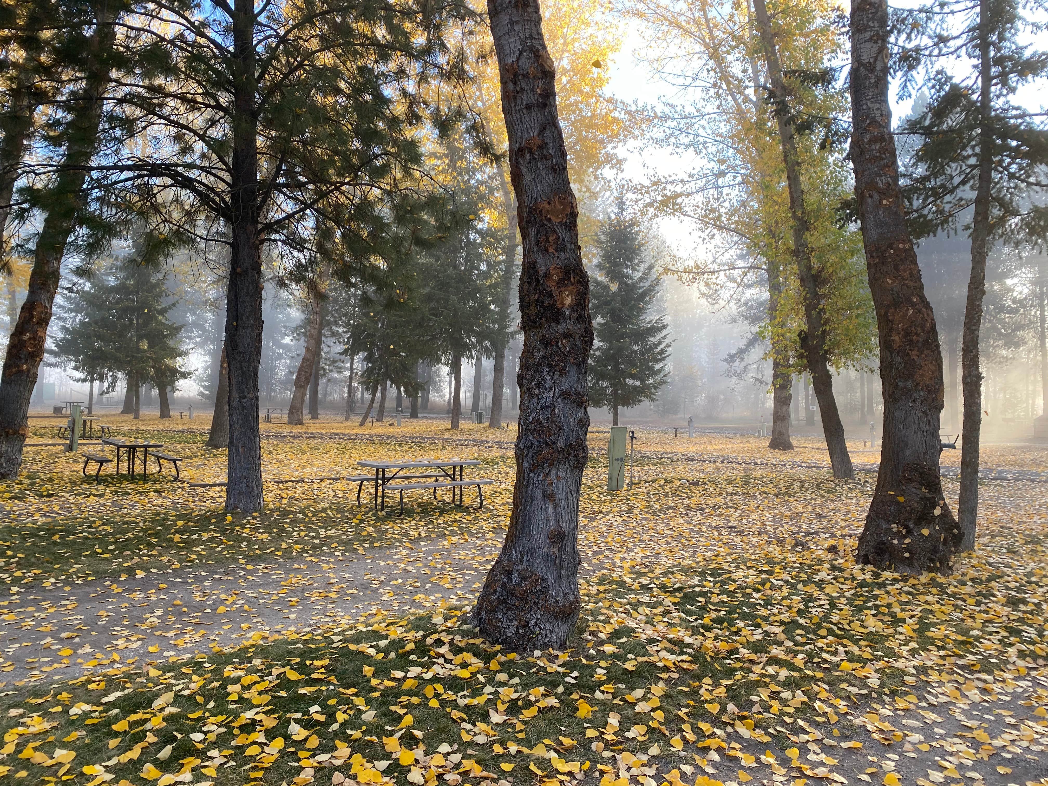 Camping near Waters Edge RV Resort: Alpine Lodge and RV, Cascade, Idaho