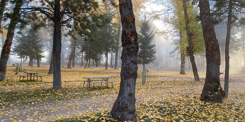 Camper submitted image from Alpine Lodge and RV