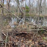 Review photo of Sam Houston Jones State Park — Sam Houston Jones State Park District II by Stephen D., February 11, 2023