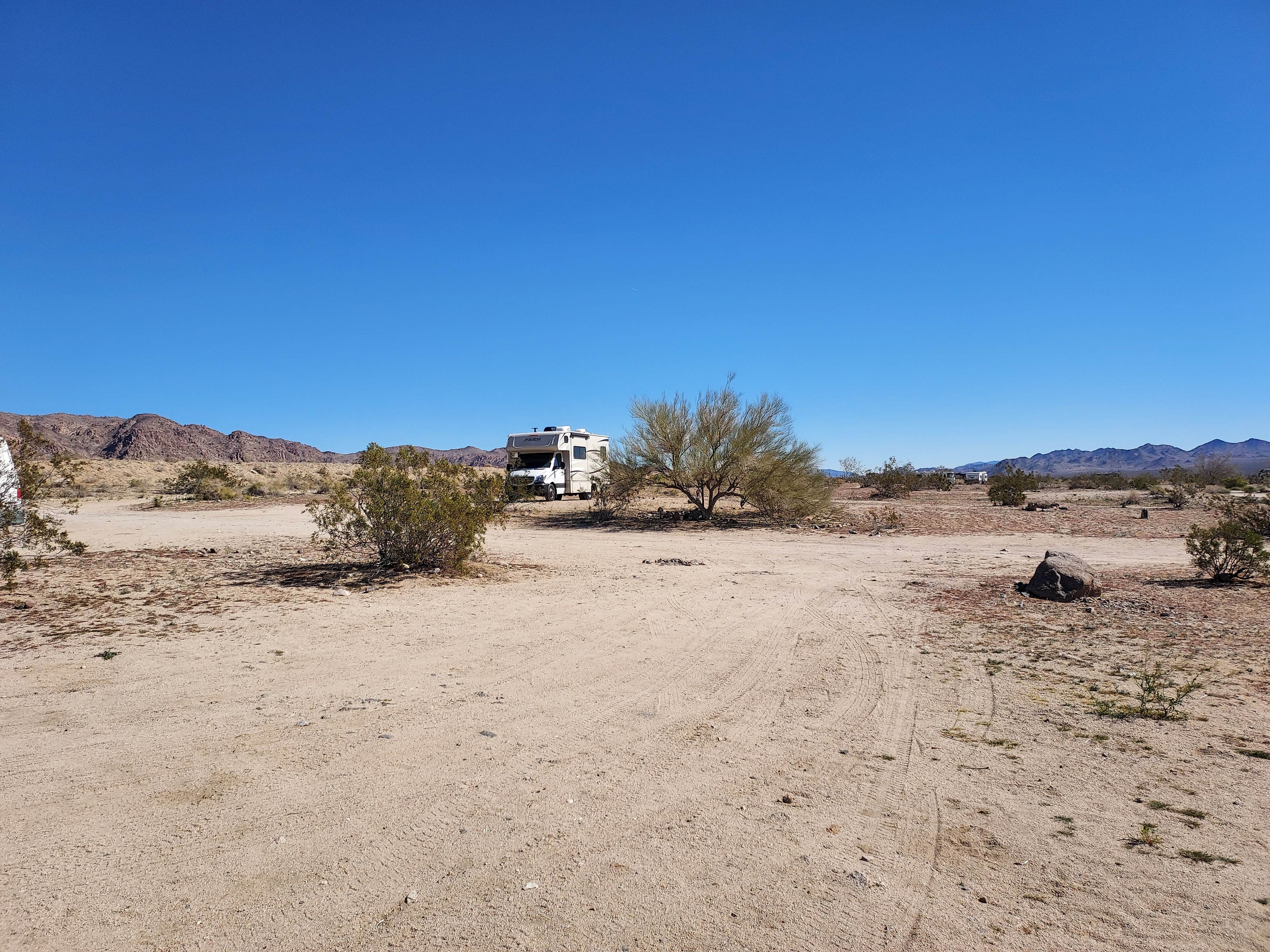 Camper submitted image from Joshua Tree South Dispersed Camping - 3