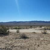 Review photo of Joshua Tree South Dispersed Camping by Noah E., February 12, 2023