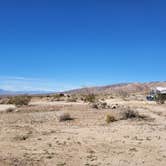 Review photo of Joshua Tree South Dispersed Camping by Noah E., February 12, 2023