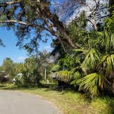 Review photo of Collier-Seminole State Park by Katrin M., February 12, 2023