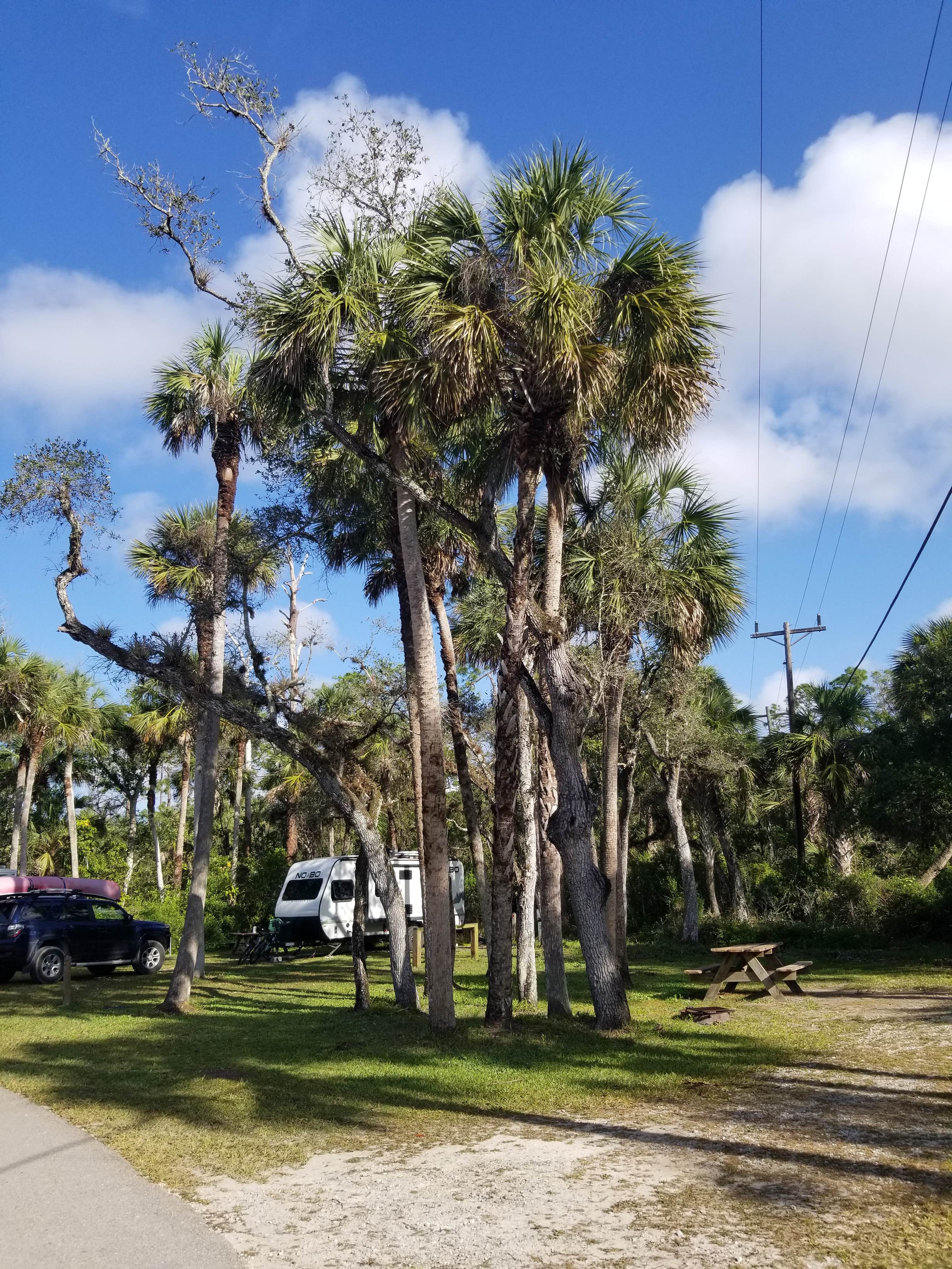 Katrin M.'s photo of rv camping at Collier–Seminole State Park Campground near Copeland, FL