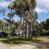 Review photo of Collier–Seminole State Park Campground by Katrin M., February 12, 2023