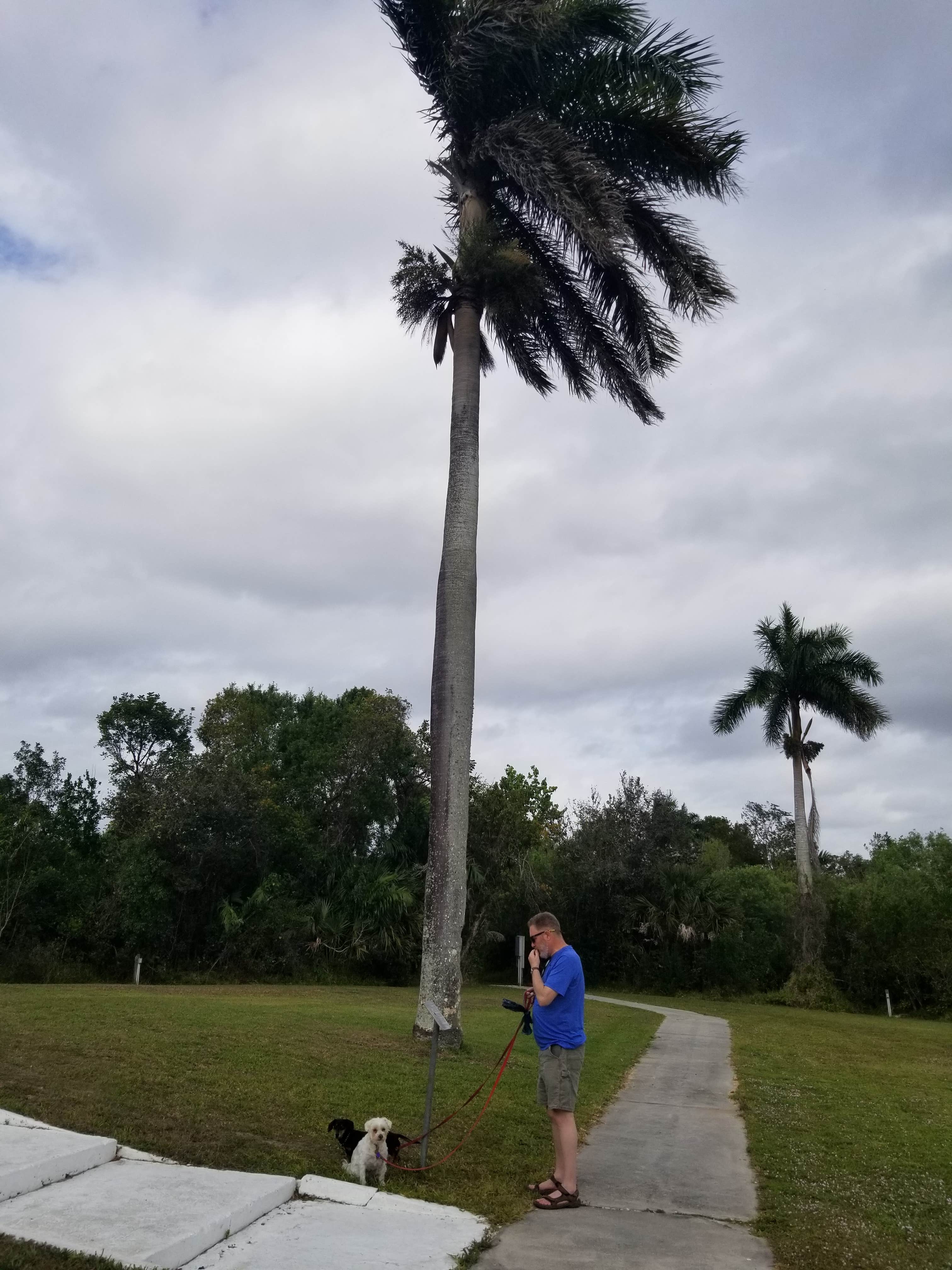 Katrin M.'s photo of camping with pets at Collier–Seminole State Park Campground near Marco Island, FL