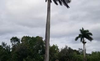 Katrin M.'s photo of camping with pets at Collier–Seminole State Park Campground near Ochopee, FL