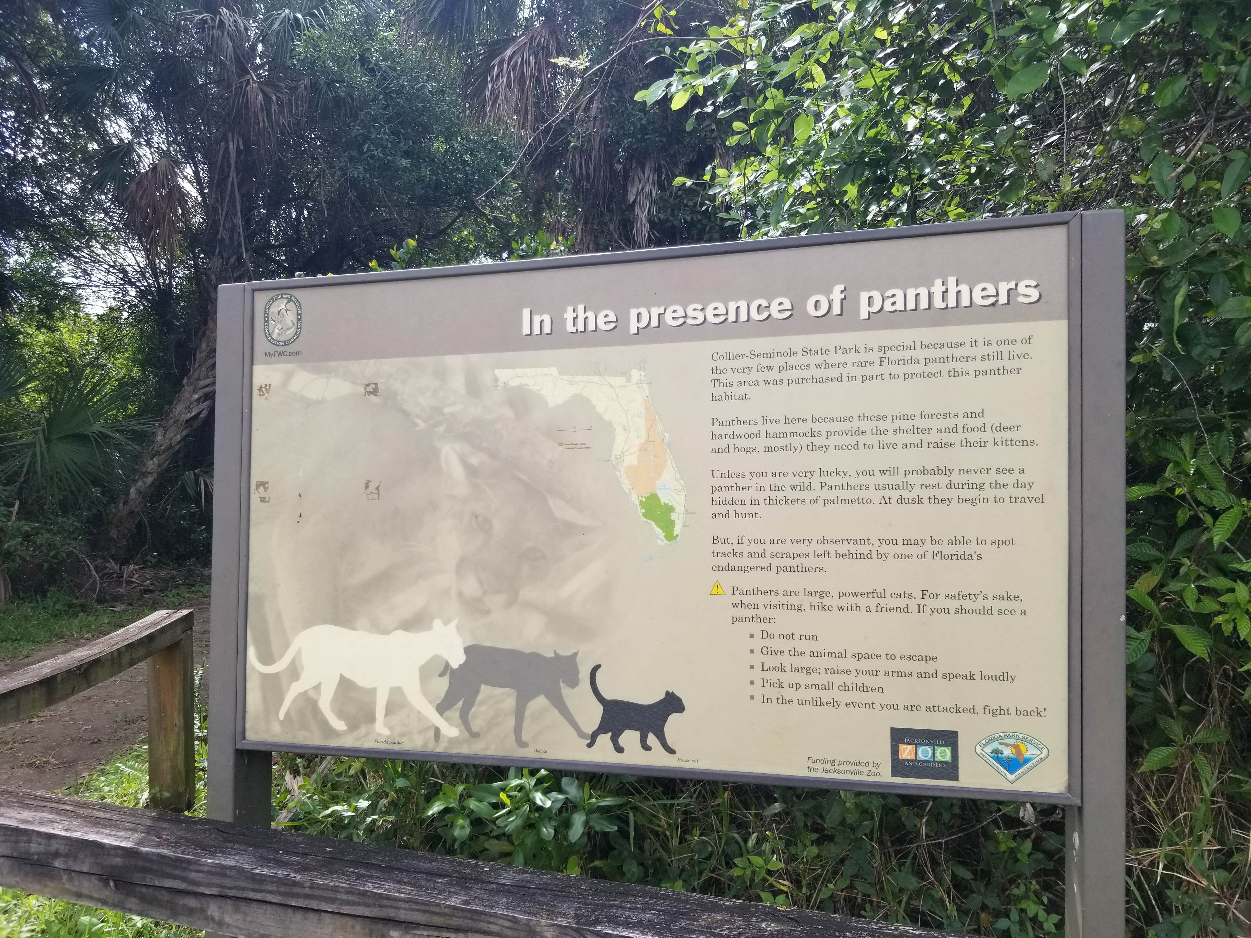 Katrin M.'s photo of camping with pets at Collier–Seminole State Park Campground near Copeland, FL