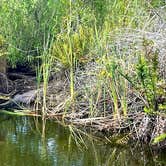 Review photo of Collier-Seminole State Park by Katrin M., February 12, 2023