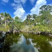 Review photo of Collier-Seminole State Park by Katrin M., February 12, 2023