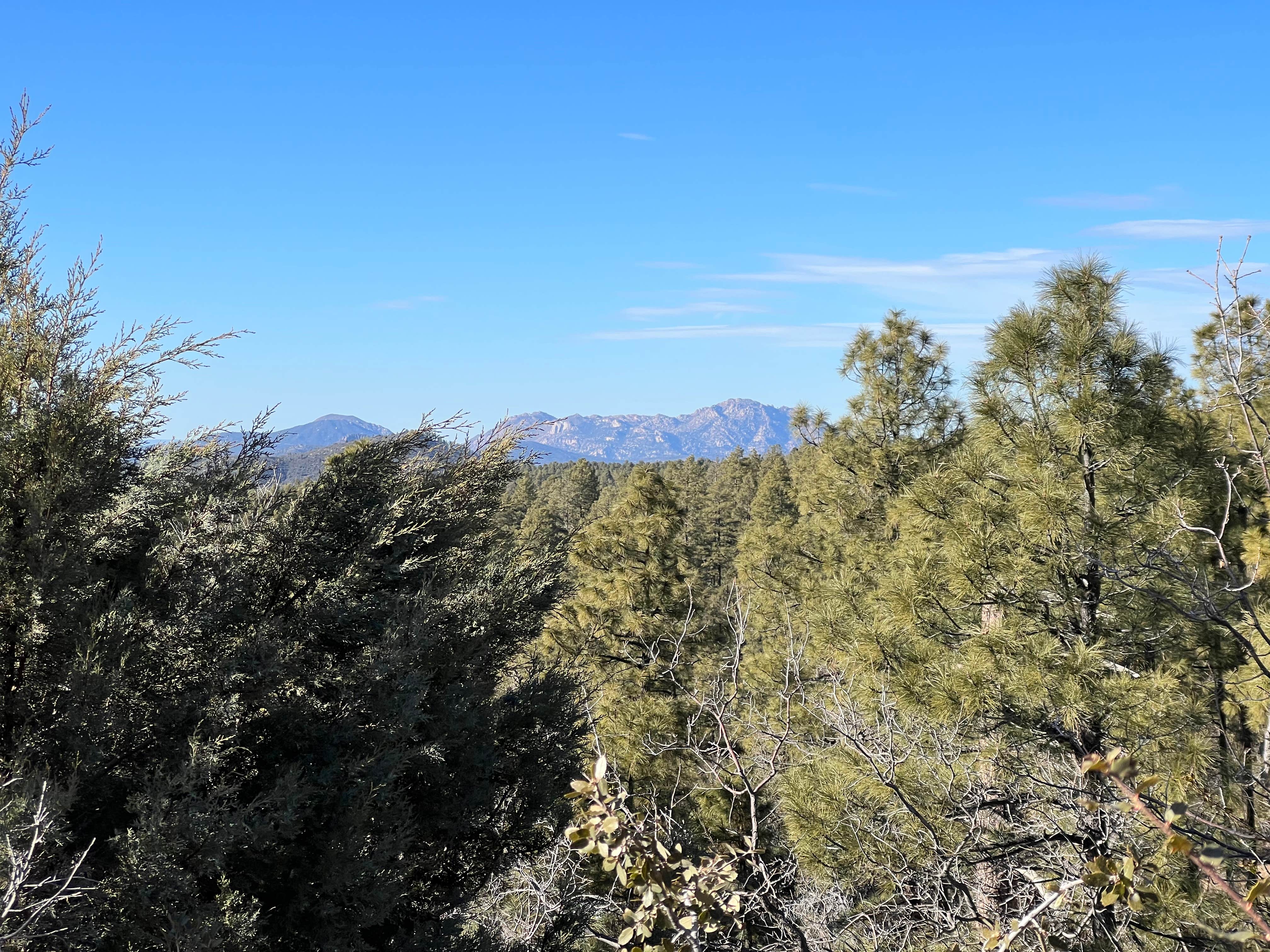 Camper-submitted photo at Senator Hwy Dispersed Camp Site near Mayer, AZ