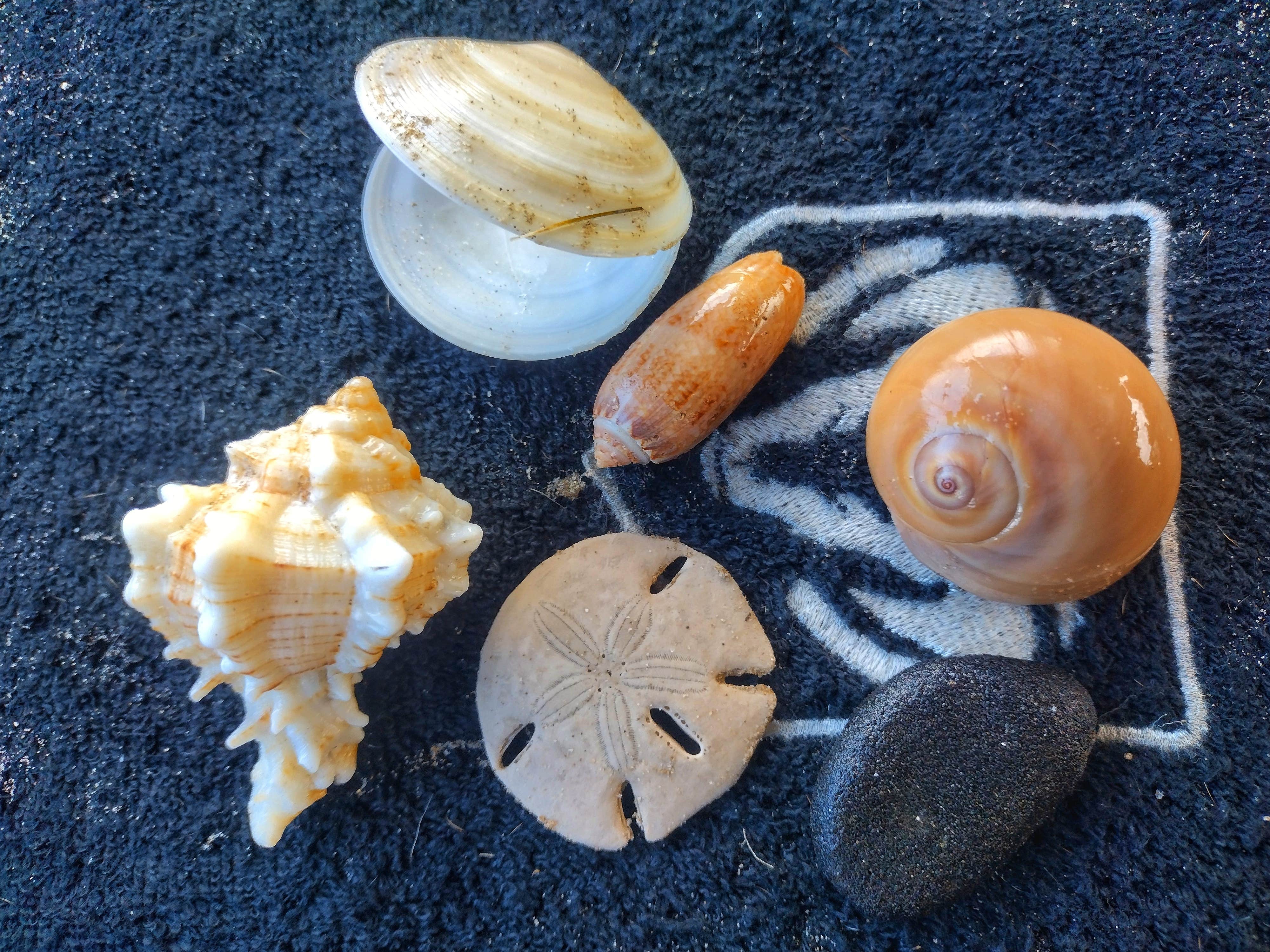 Camper-submitted photo at Breeze Lake Campground near Brownsville, TX