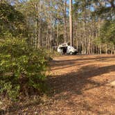 Review photo of Martin Dies, Jr. State Park Campground by Stephen D., February 14, 2023