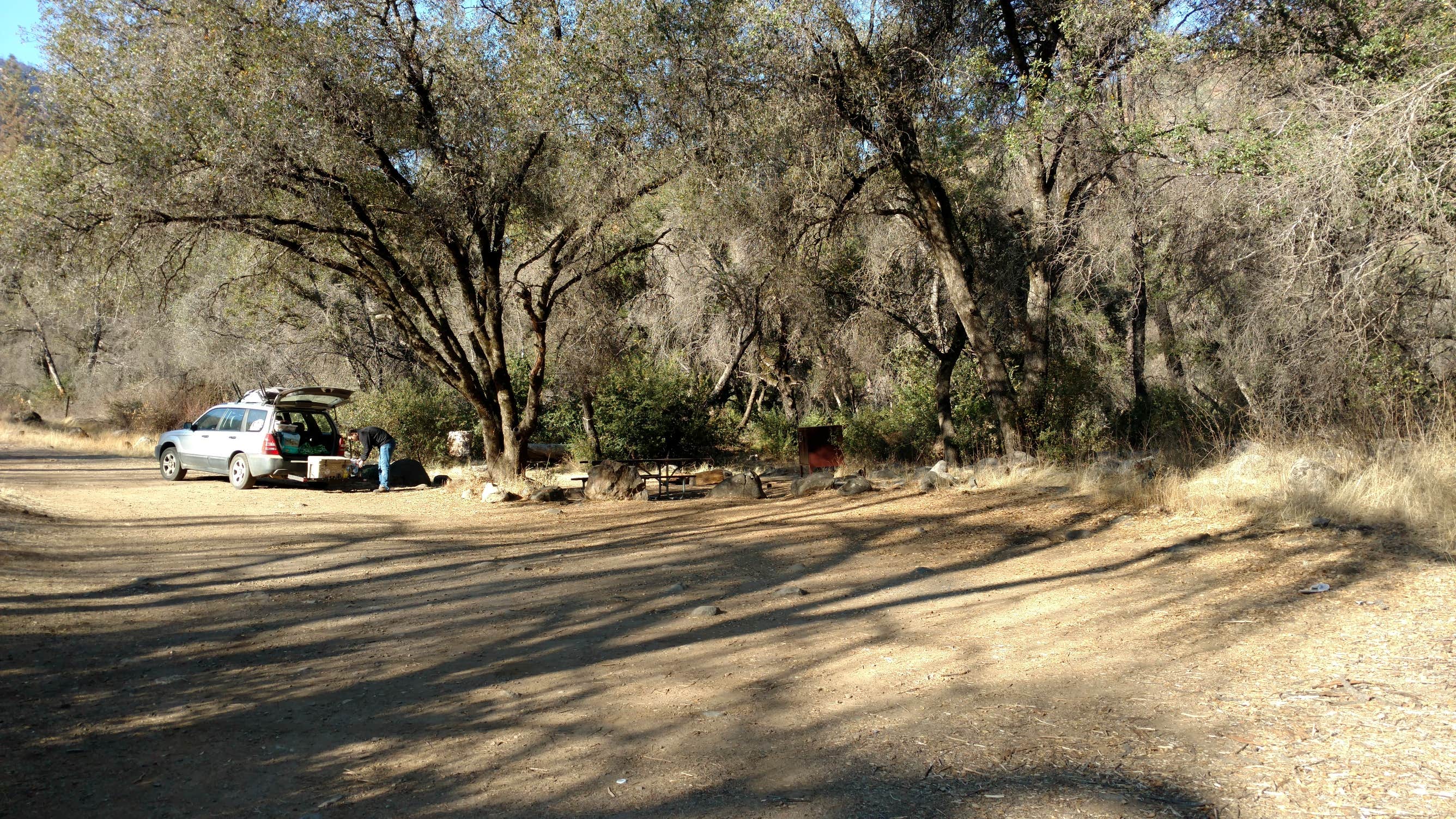 Lumsden Bridge Campground Camping The Dyrt