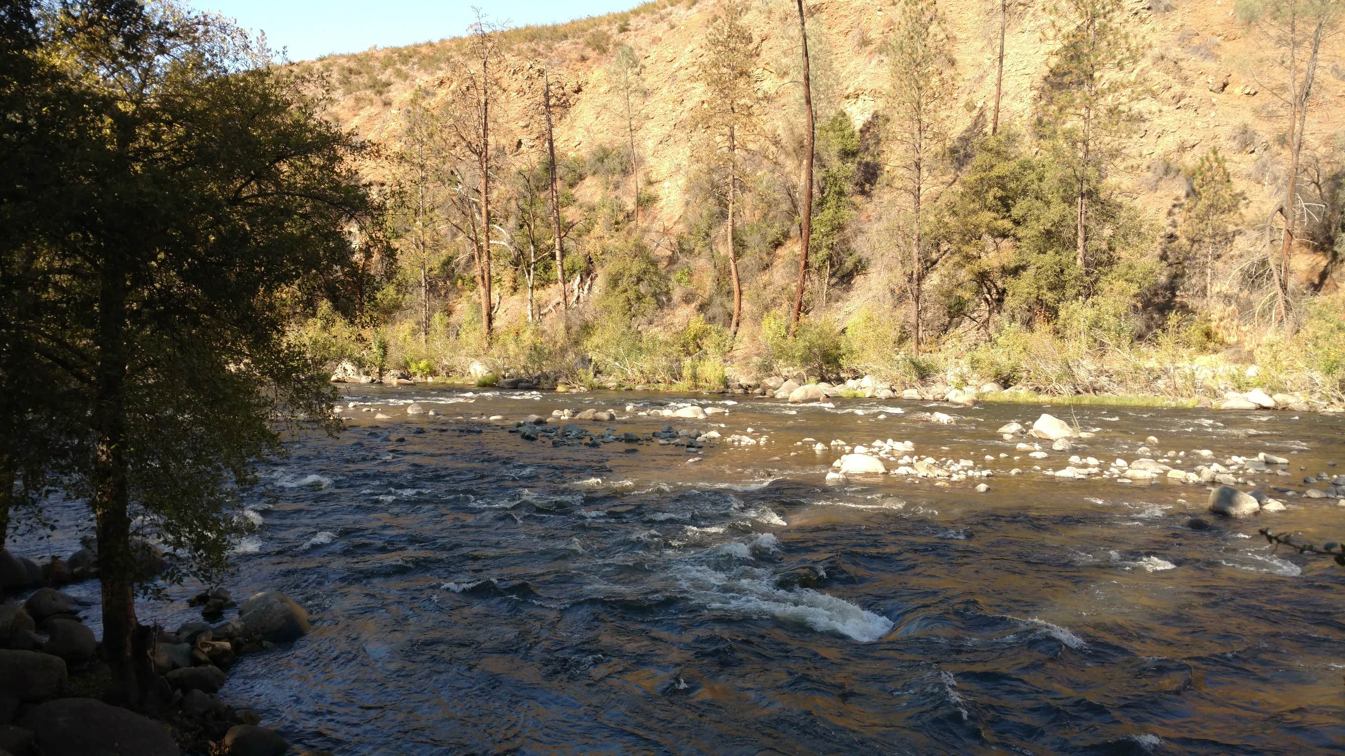 Camper submitted image from Lumsden Bridge Campground - 4