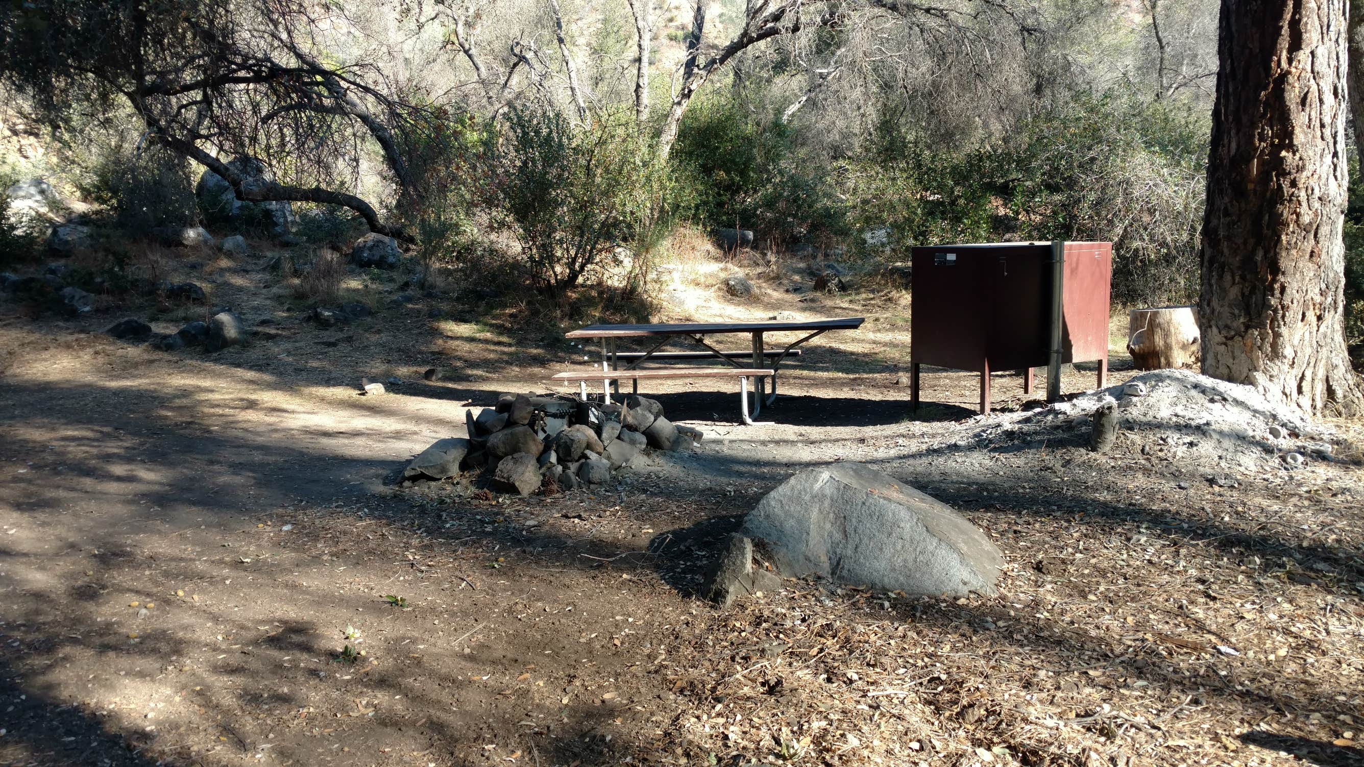 Lumsden Bridge Campground The Dyrt