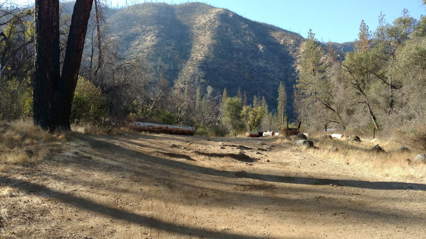Lumsden Bridge Campground Camping The Dyrt