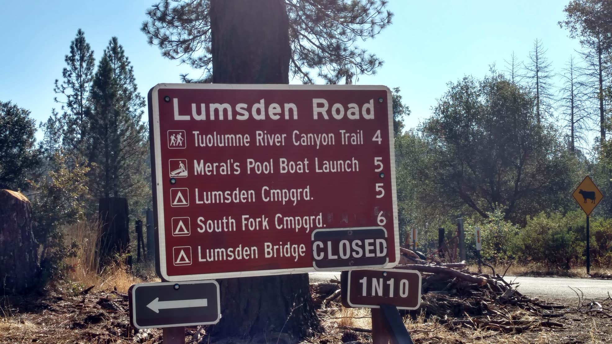 Lumsden Bridge Campground The Dyrt