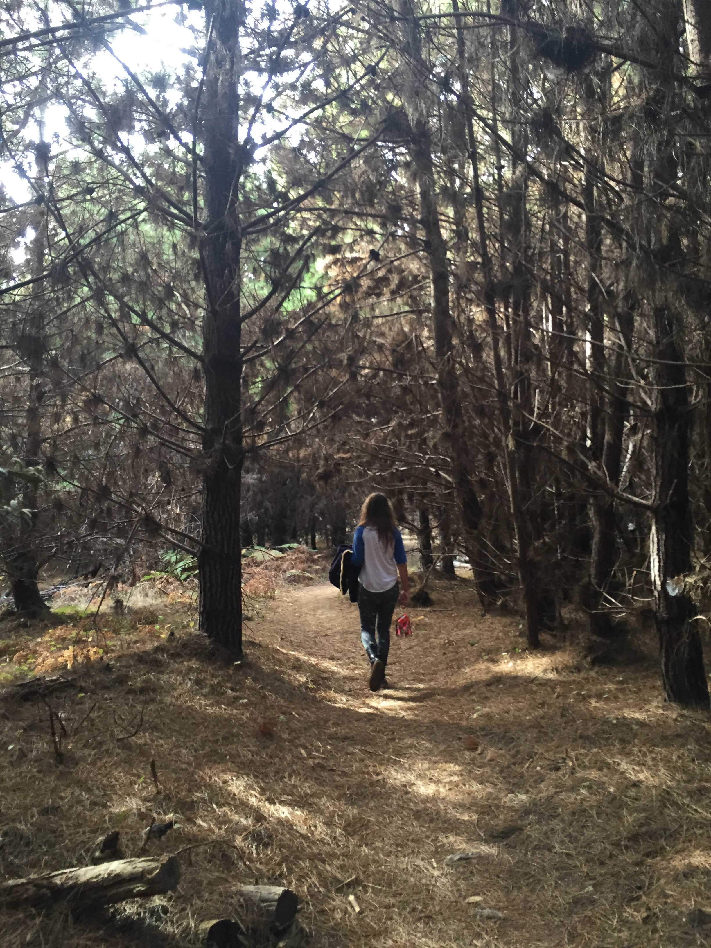 Camper-submitted photo at Woodside Campground — Salt Point State Park near Cazadero, CA