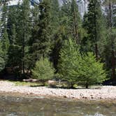Review photo of Upper Pines Campground — Yosemite National Park by Warren K., August 13, 2016