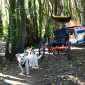 Review photo of Gualala Point Regional Park by Tim J., September 29, 2018