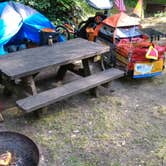 Review photo of Van Damme State Park Campground by Tim J., September 29, 2018