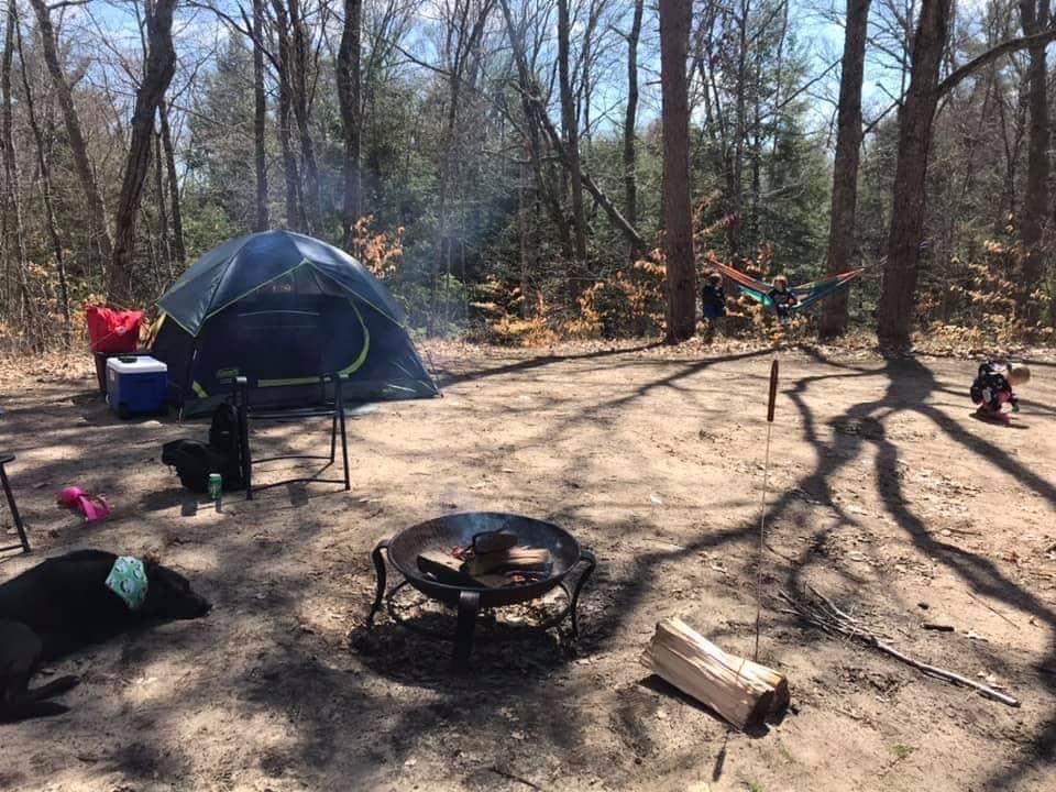 Ashley H.'s photo of a dispersed camping area at Sand Road Primitive Rustic Camping near Ludington, MI