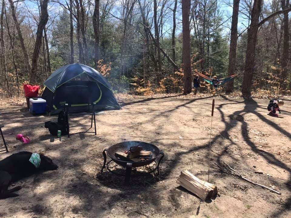 Camper submitted image from Sand Road Primitive Rustic Camping - 1