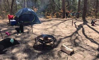Camping near Sawkaw Lake: Sand Road Primitive Rustic Camping, Whitehall, Michigan