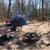 Review photo of Sand Road Primitive Rustic Camping by Ashley H., February 14, 2023