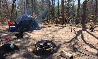 Ashley H.'s photo of a dispersed camping area at Sand Road Primitive Rustic Camping near Luther, MI