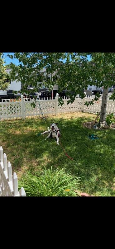 RJourney R.'s photo of camping with pets at Applewood RV Resort by Rjourney near Twin Lakes, CO