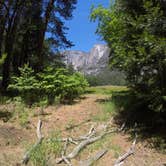 Review photo of Upper Pines Campground — Yosemite National Park by Warren K., August 13, 2016