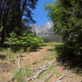 Review photo of Upper Pines Campground — Yosemite National Park by Warren K., August 13, 2016