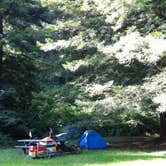 Review photo of Russian Gulch State Park Campground by Tim J., September 29, 2018
