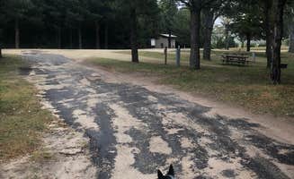 Shelly S.'s photo of camping with pets at Boardman Creek Area Campground near Merriman, NE