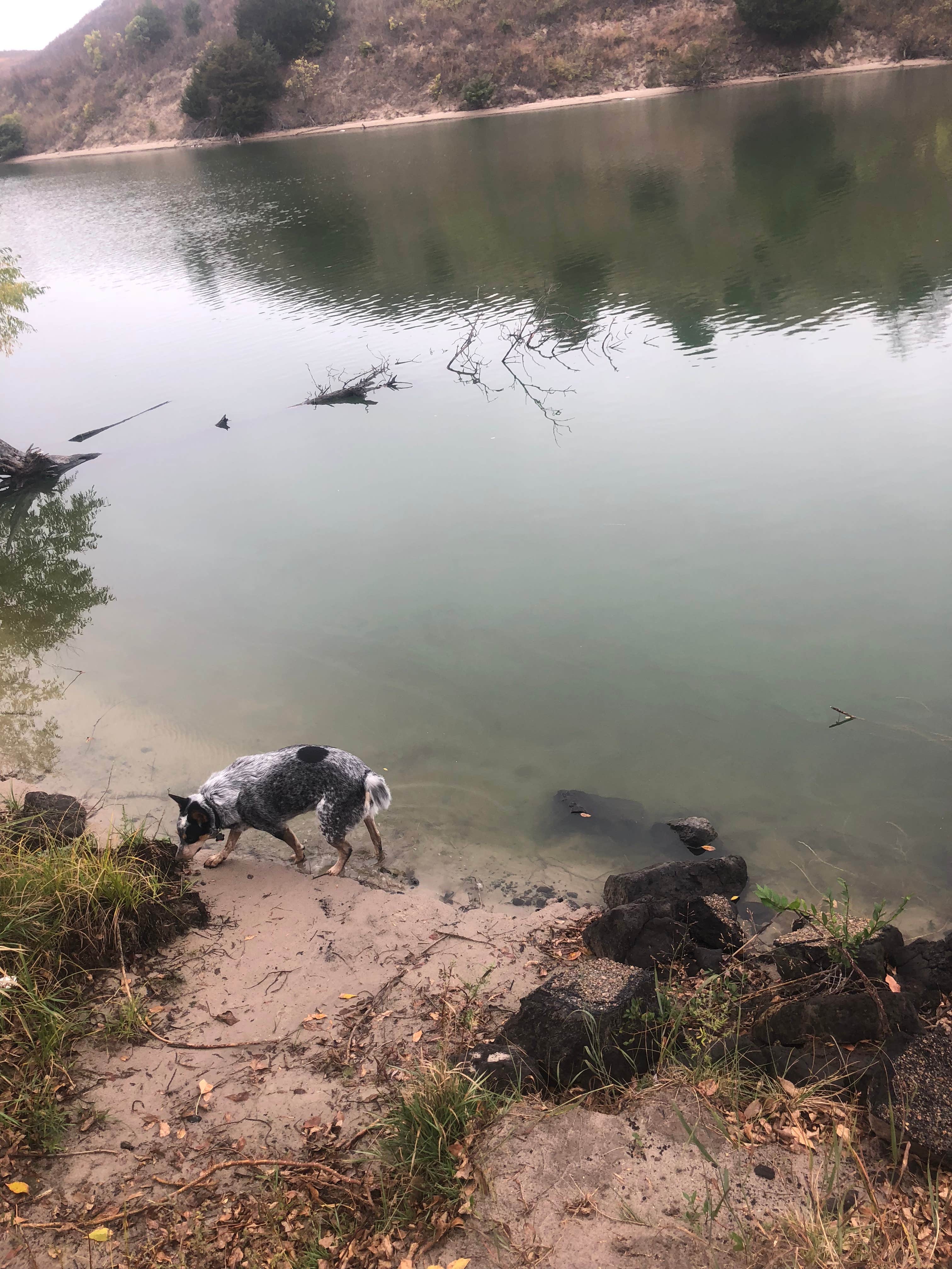 The water has a green tint to it