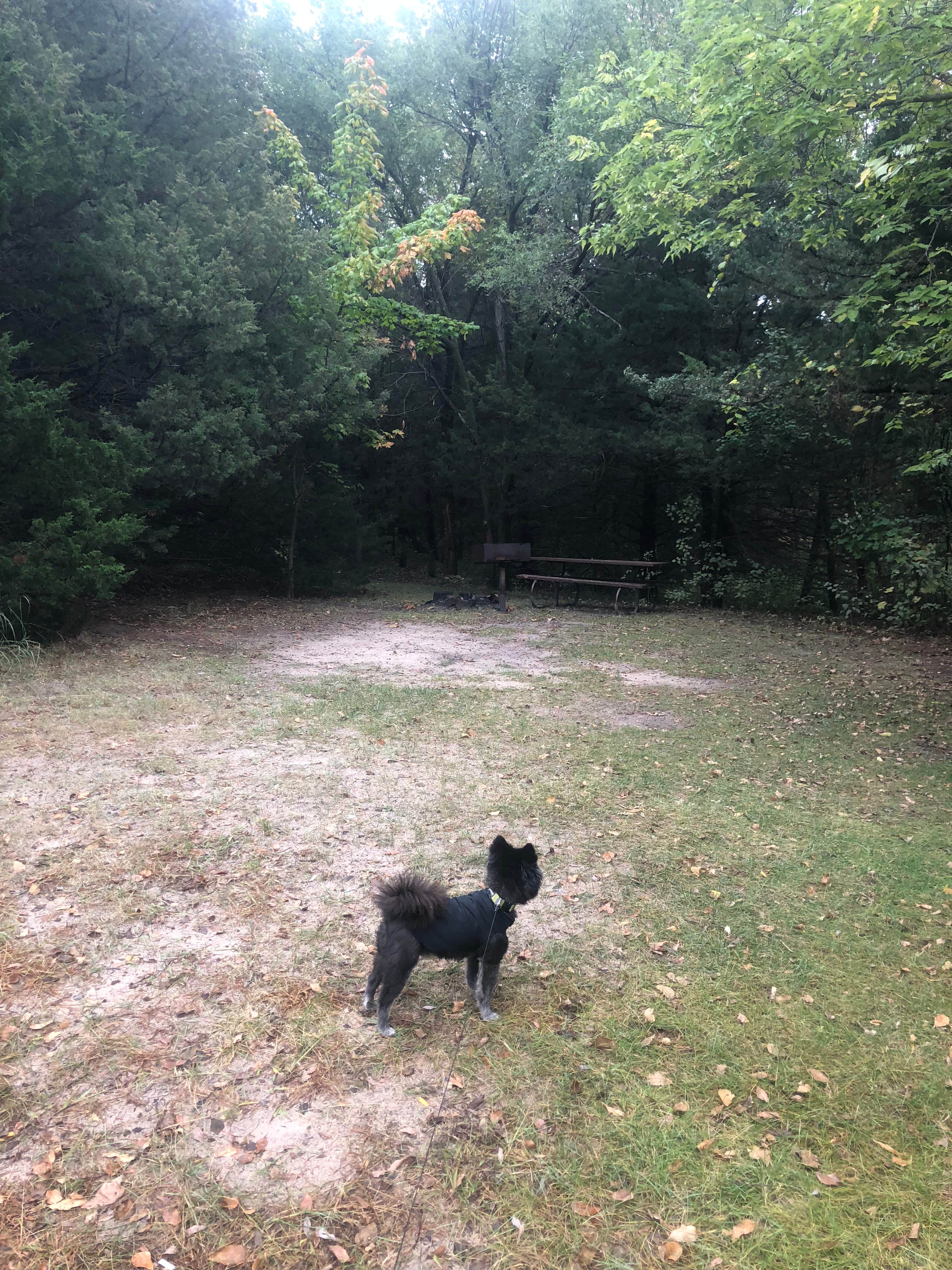 Another hide away site