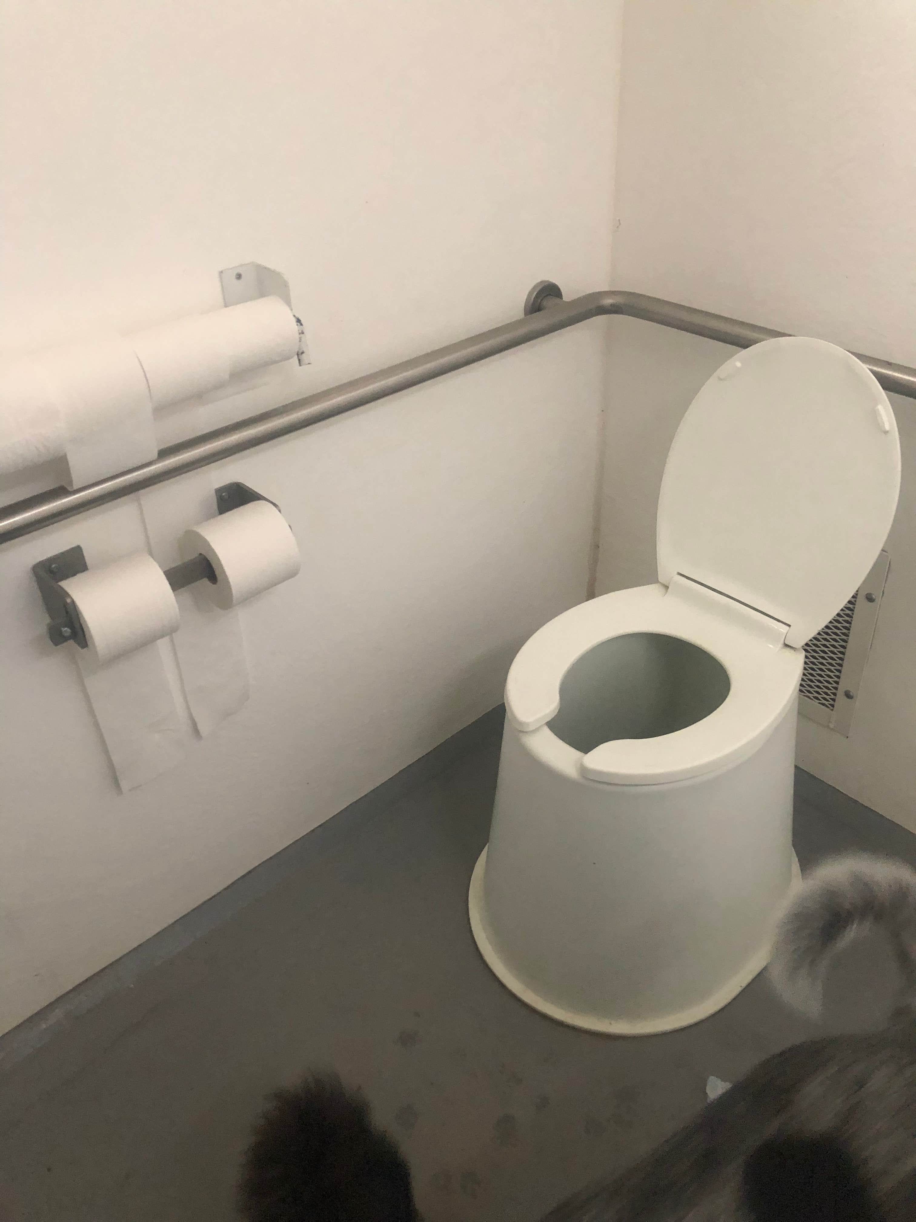Toilets were clean and well stocked