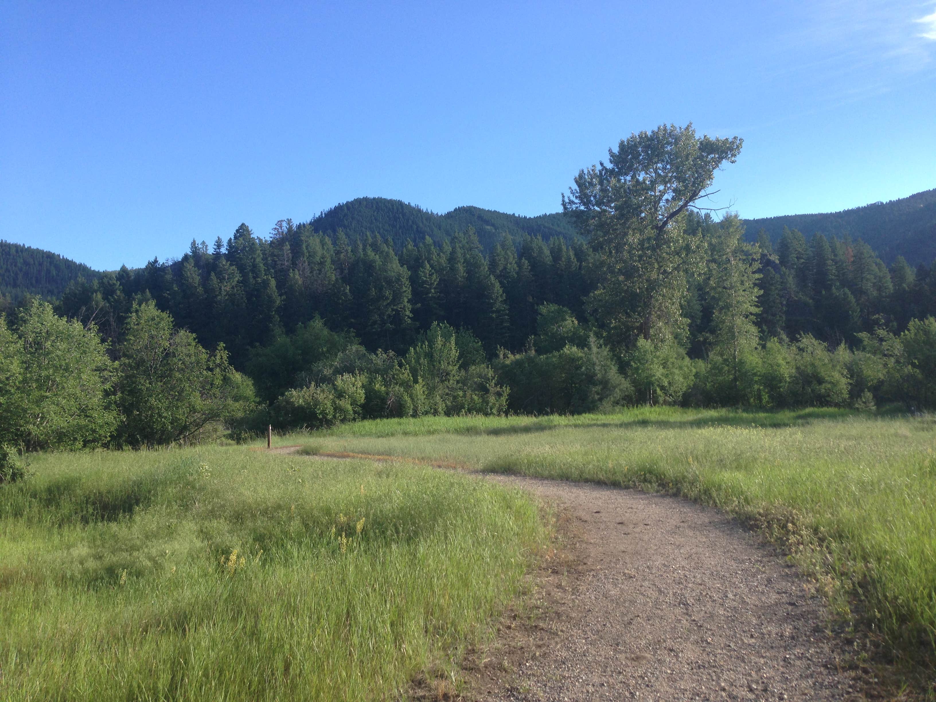 Camper-submitted photo at Beavertail Hill State Park Campground near Lolo, MT
