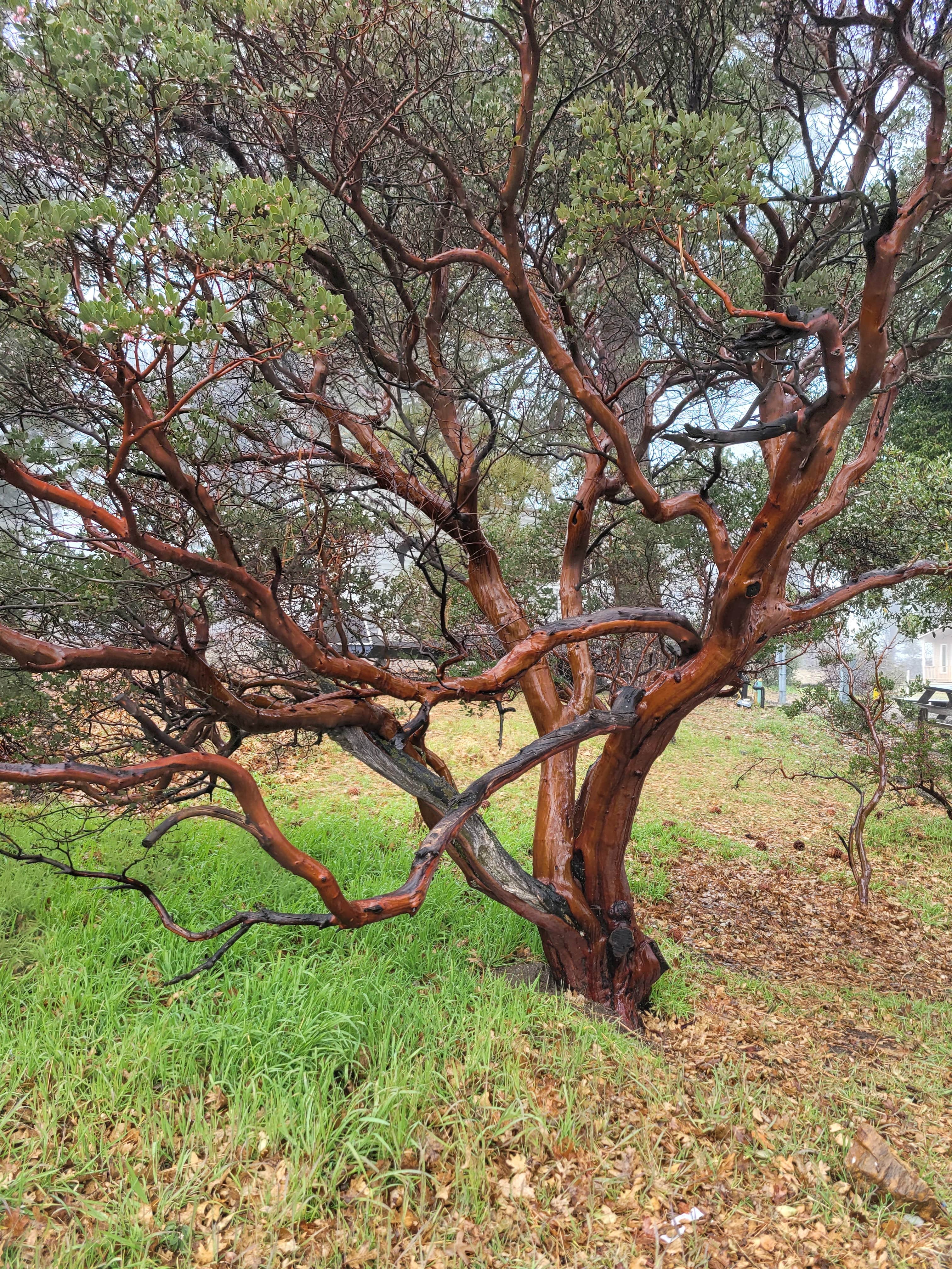 Camper-submitted photo at KQ Ranch Resort near Ranchita, CA