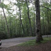 Review photo of Julian Price Park Campground — Blue Ridge Parkway by Mary H., September 30, 2018