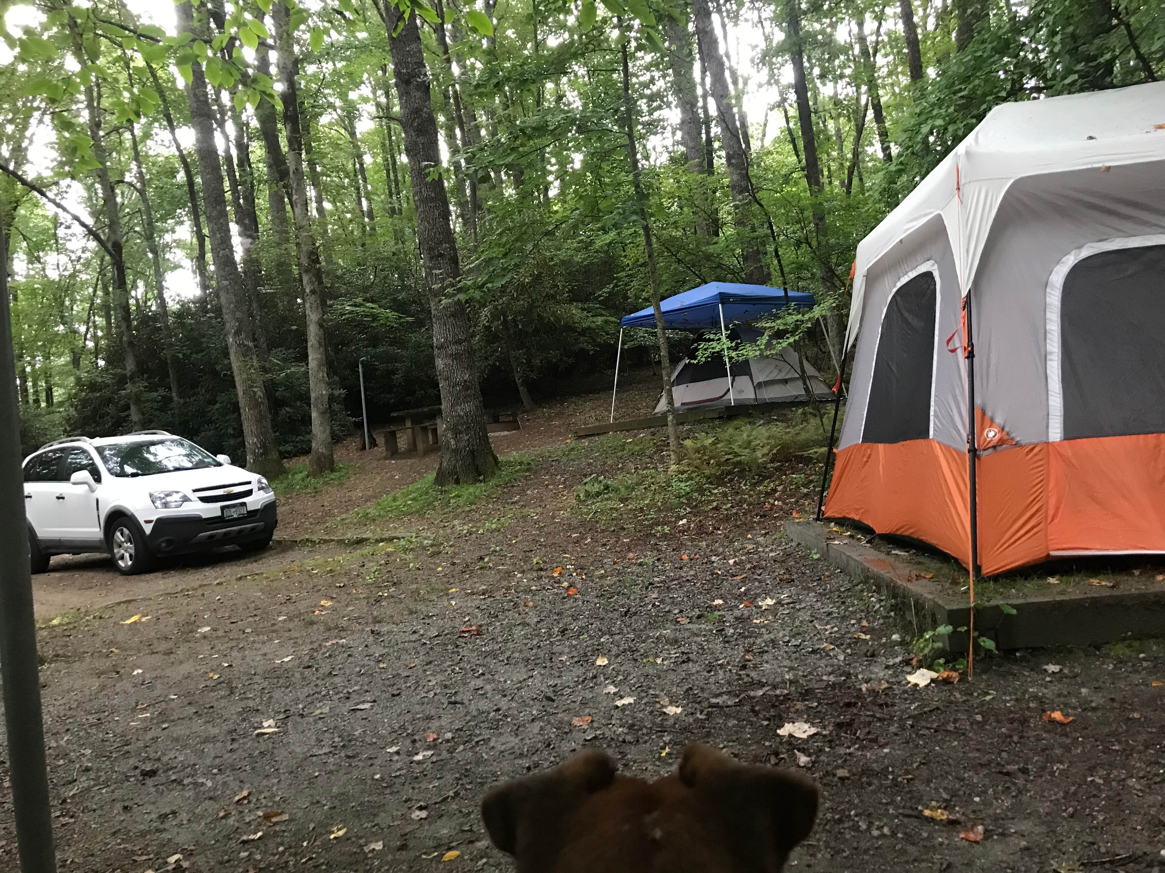 Mary H.'s photo at Julian Price Park Campground — Blue Ridge Parkway near Blowing Rock, NC