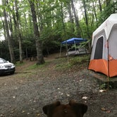 Review photo of Julian Price Park Campground — Blue Ridge Parkway by Mary H., September 30, 2018