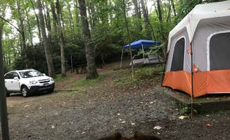Mary H.'s photo at Julian Price Park Campground — Blue Ridge Parkway near Beech Mountain, NC