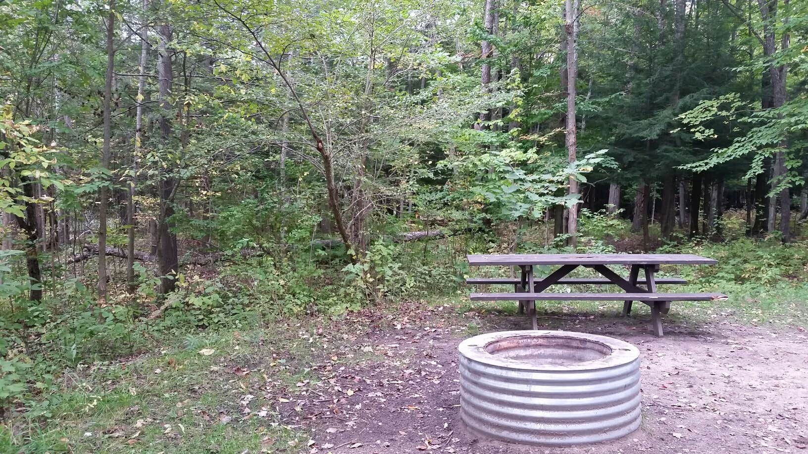 Camping near White Pine Backcountry Camp — Sleeping Bear Dunes National Lakeshore: Veterans Memorial State Forest Campground, Honor, Michigan